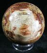 Colorful Petrified Wood Sphere #29000-1